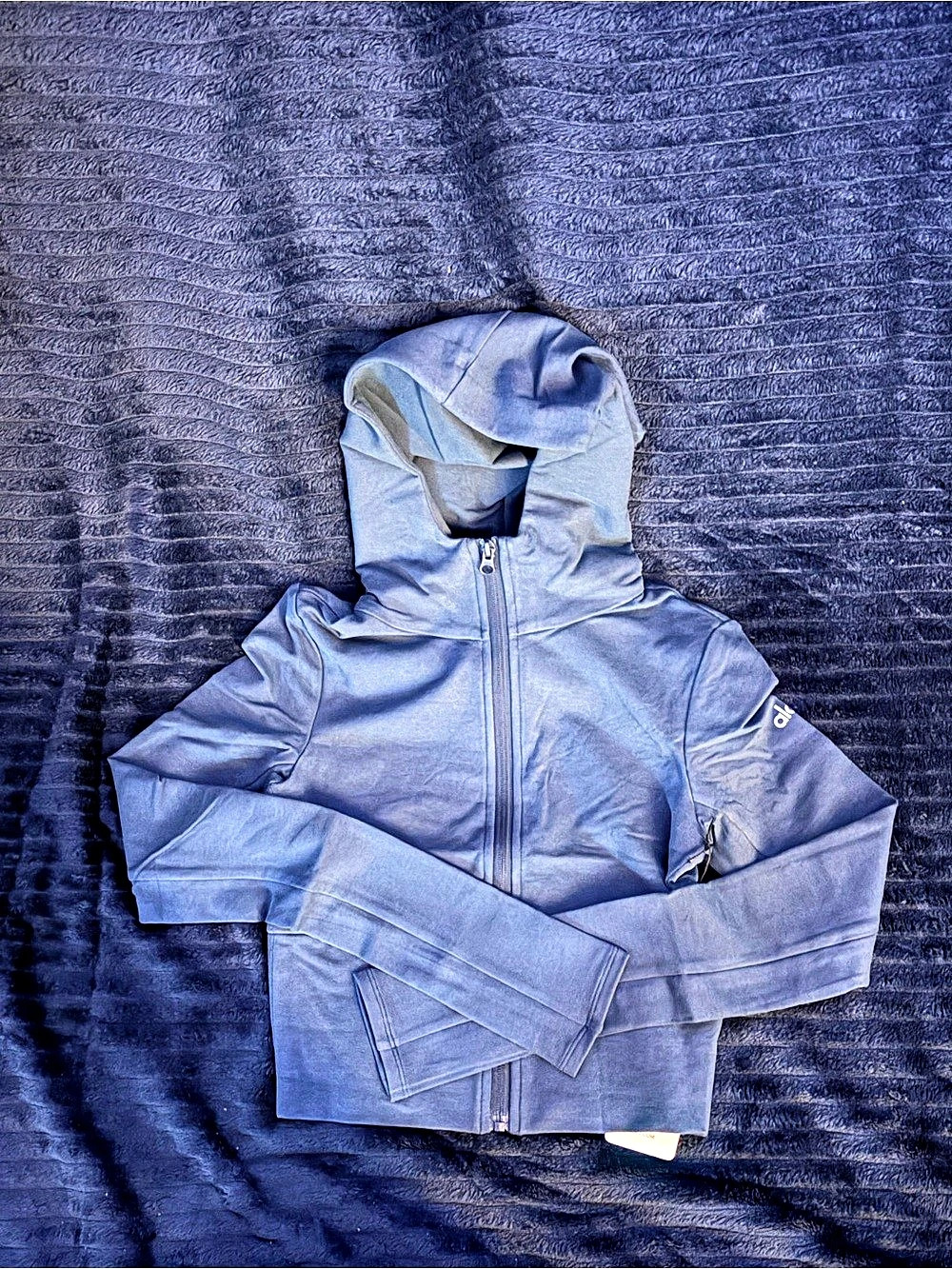 Alo Sway Full Zip Hoodie - (Small)